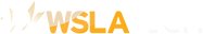 Wsla Technology